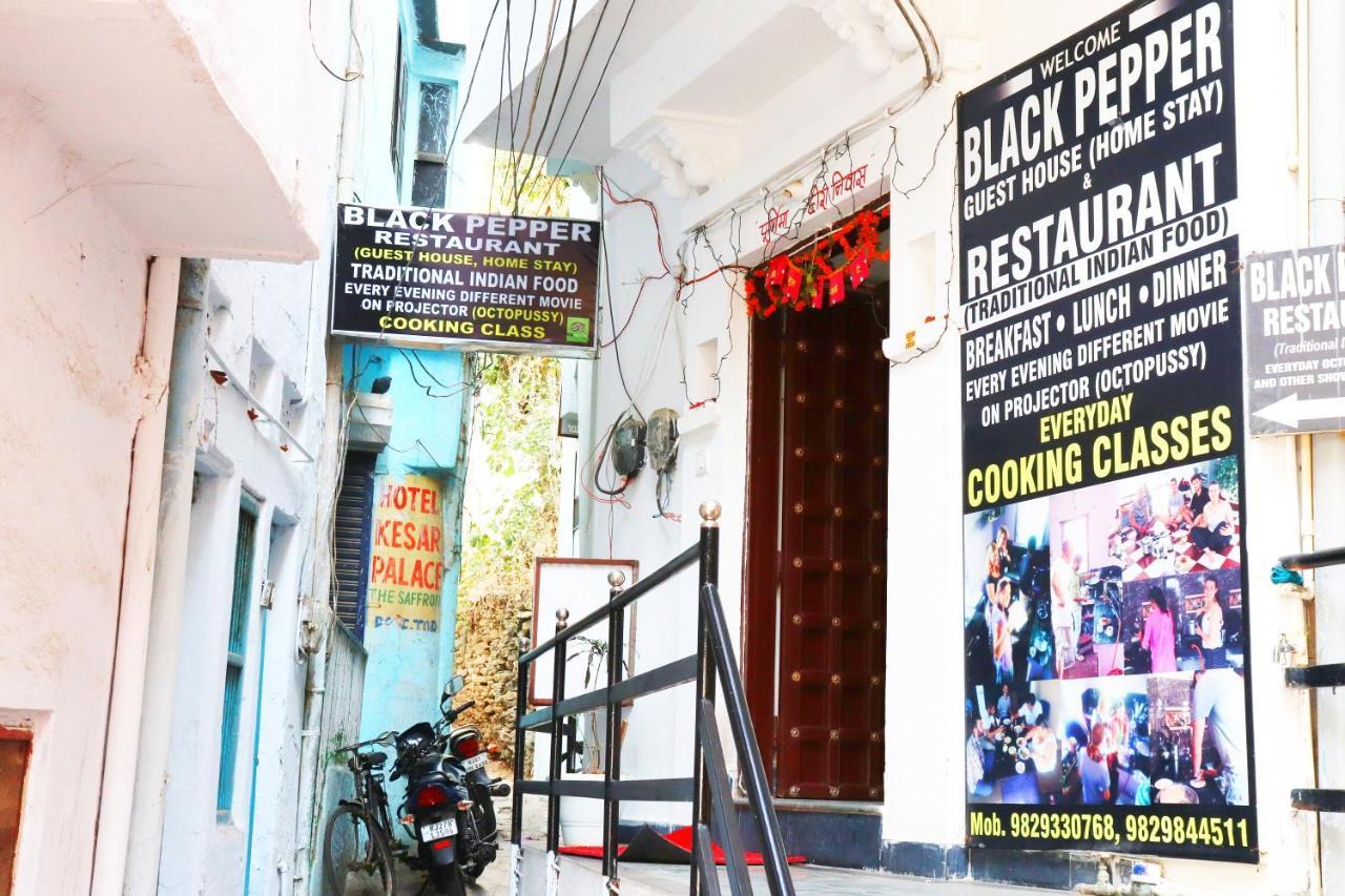 Black Pepper Home Stay Udaipur Exteriör bild